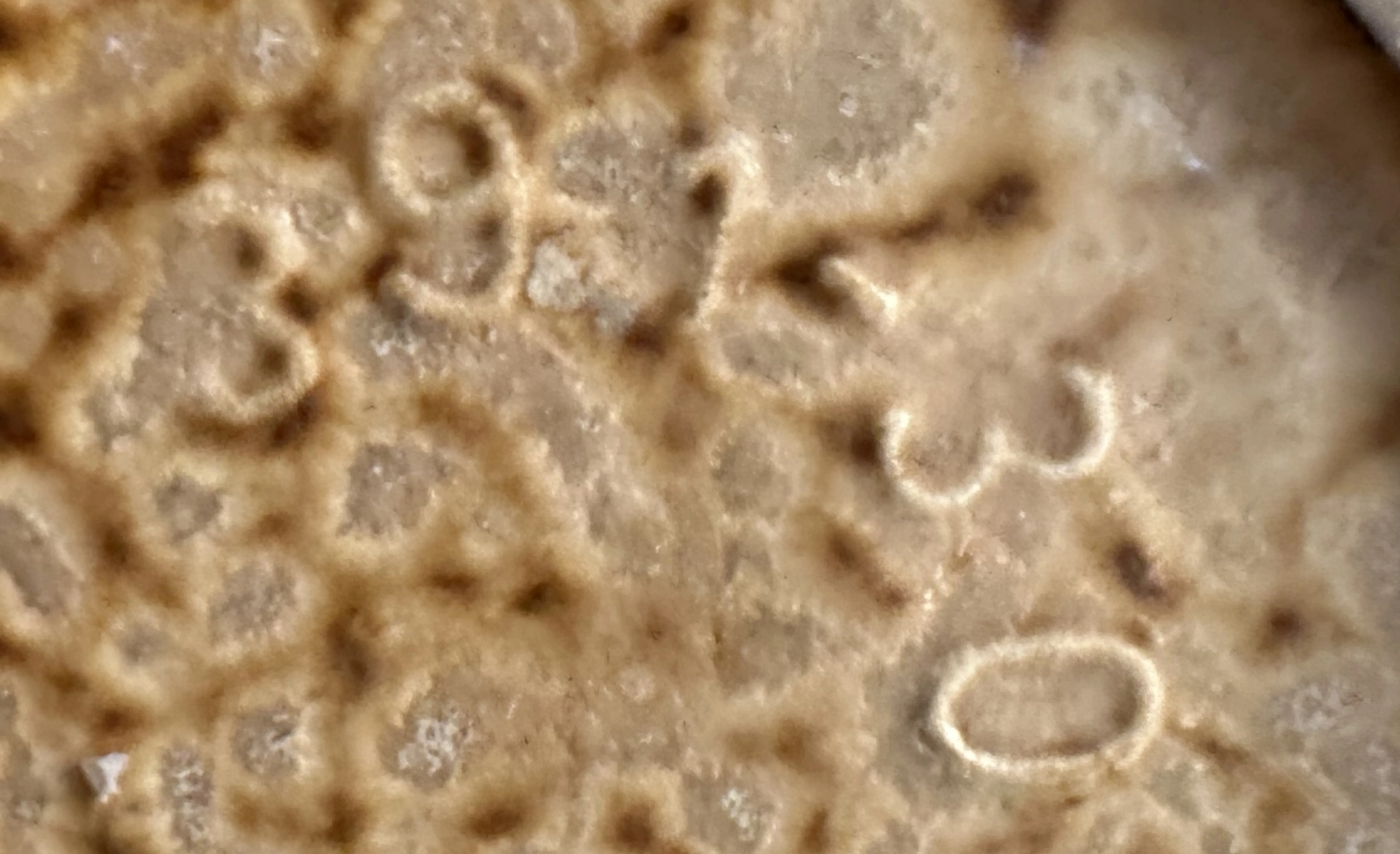 Detail einer antiken Seriennummer 391-30 auf neutralem Hintergrund