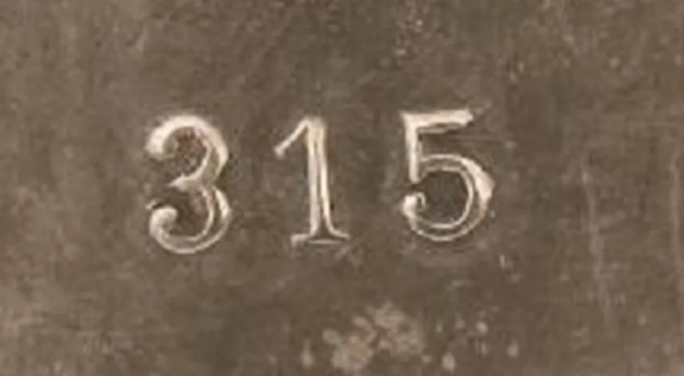 تفاصيل رقم تسلسلي 315 قديم، كلاسيكي ومميز