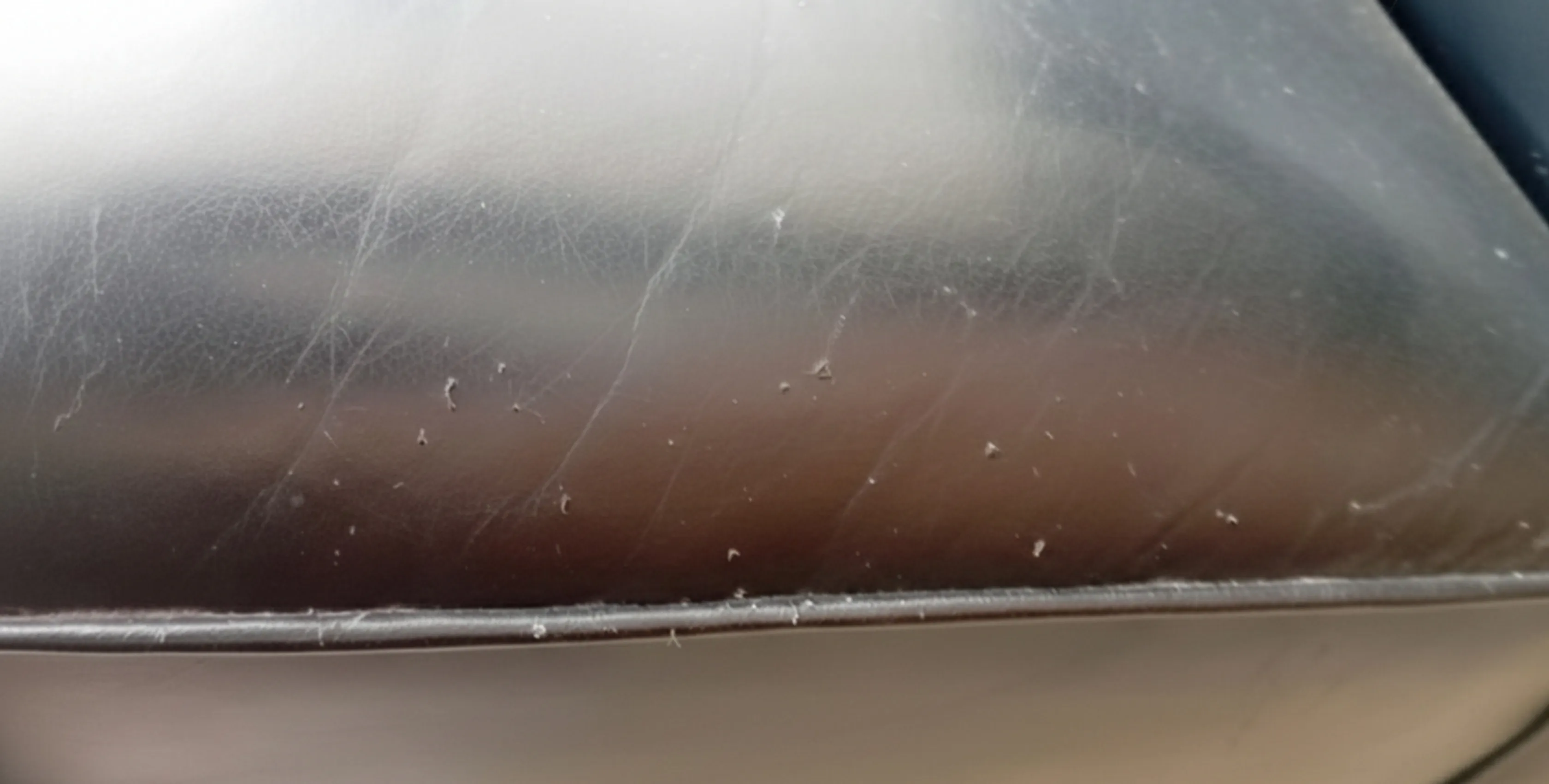 दो प्राचीन कुर्सियाँ जिनमें निशान और विवरण हैं