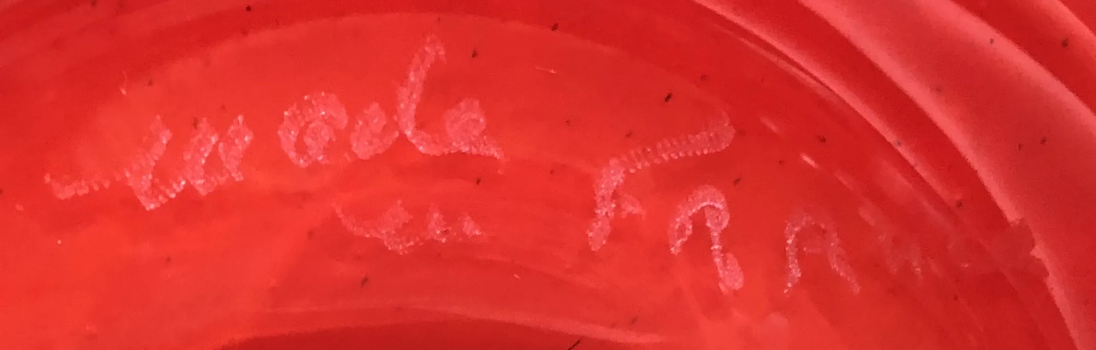 selo antigo com inscrição visível em fundo vermelho.