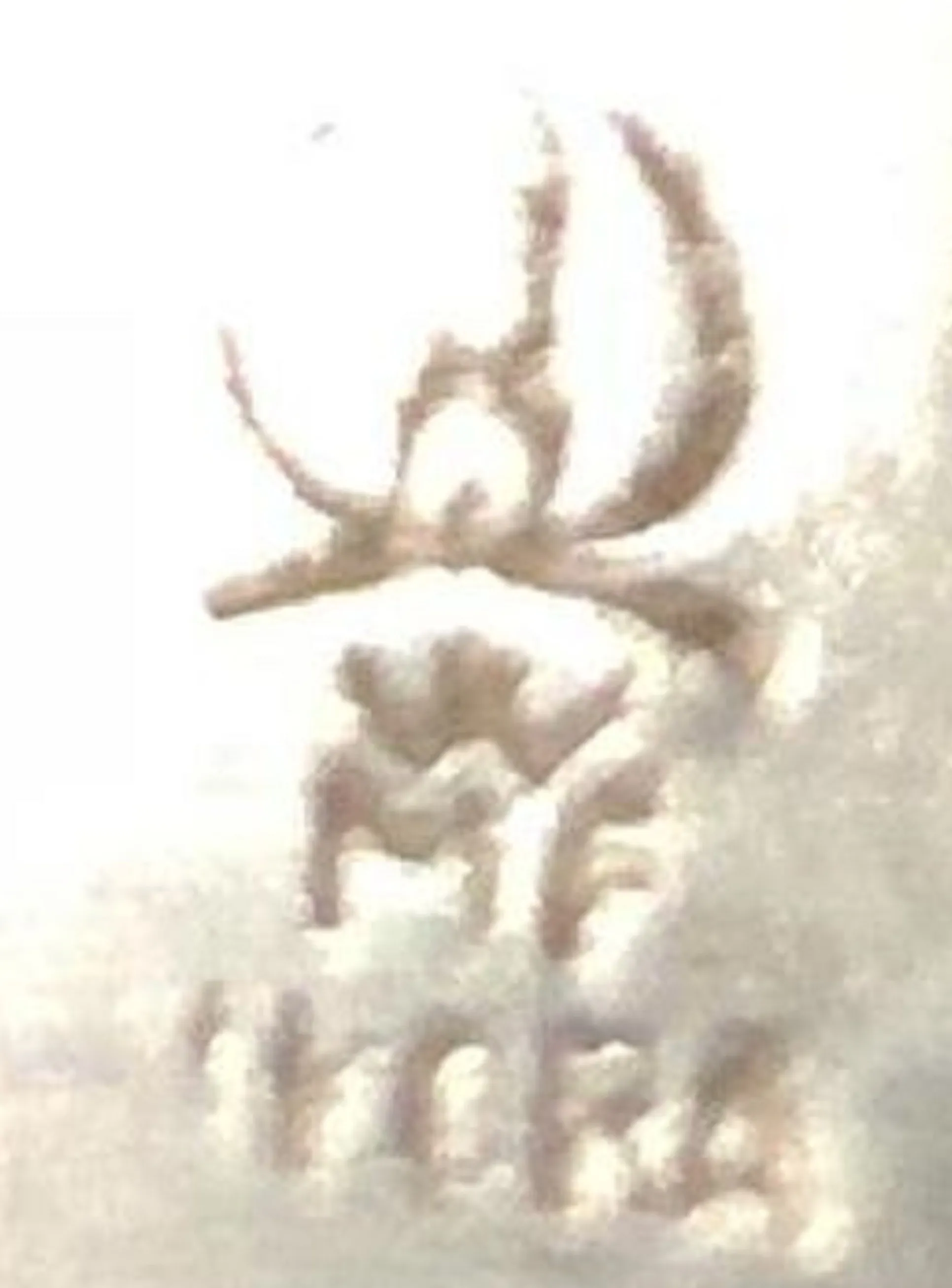 Details of the antique WMF IKORA seal with intricate design.