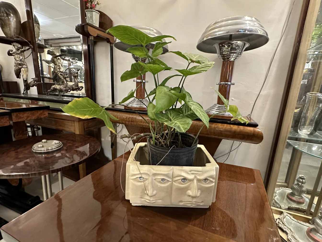 cerámica antigua con cara, plantas dentro, decoración elegante