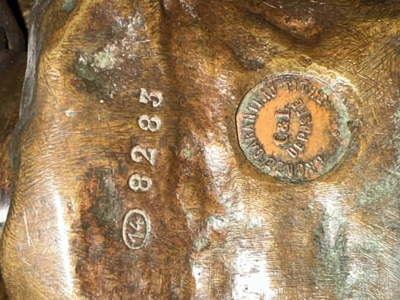 详细的古代雕塑，带有铭文和乡村环境。