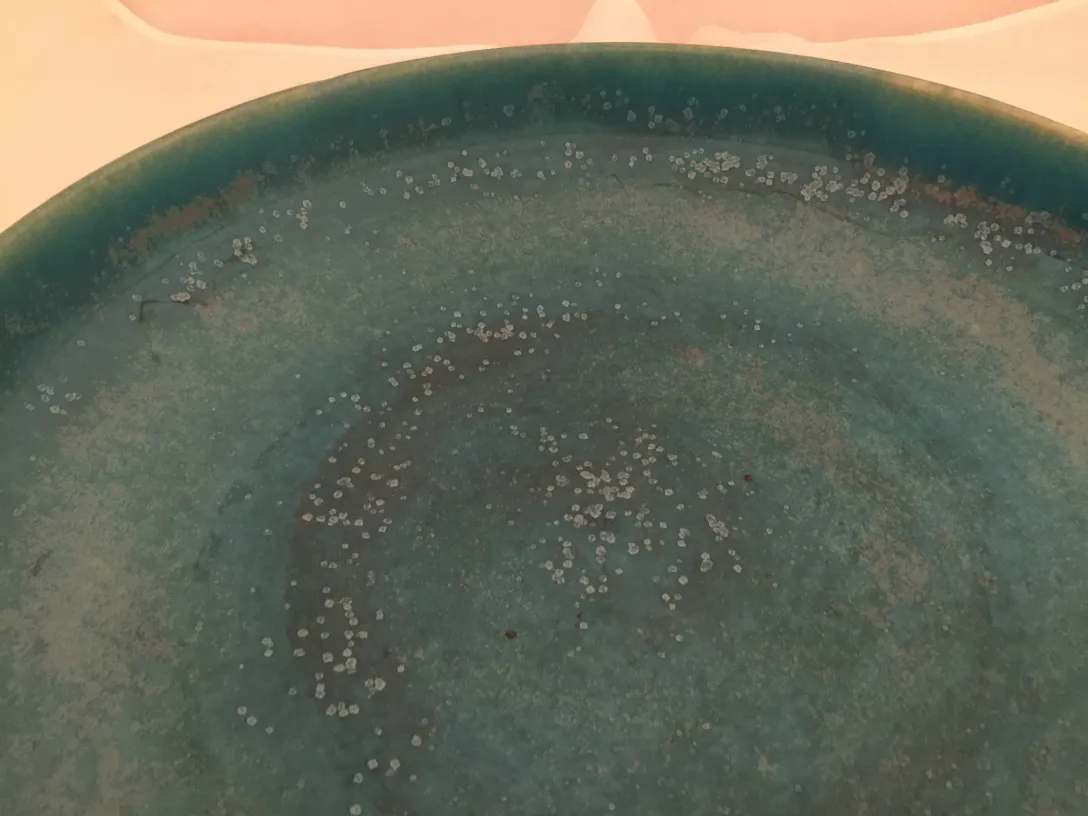 Antique blue ceramic plate with unique surface details.