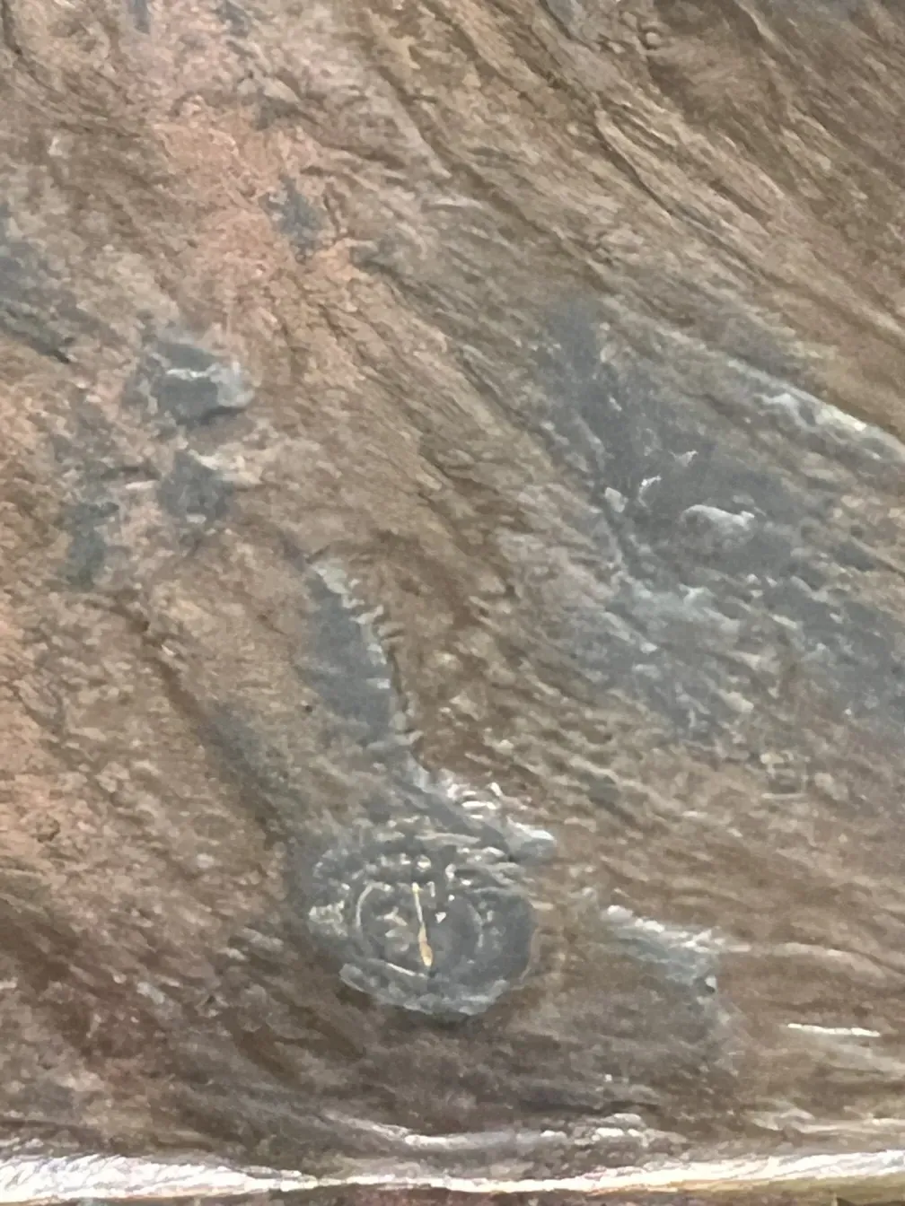 detalhe de uma escultura antiga de jane le soudier, com texturas e formas ornamentadas