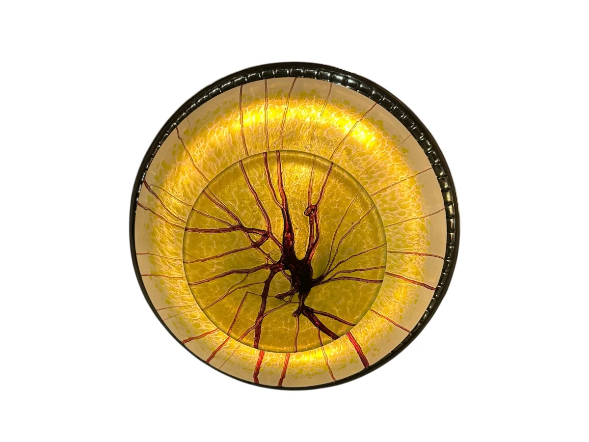 Lámpara de techo antigua con un diseño único y elegante, iluminando el ambiente.