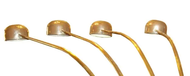 Antique floor lamp with two golden arms.