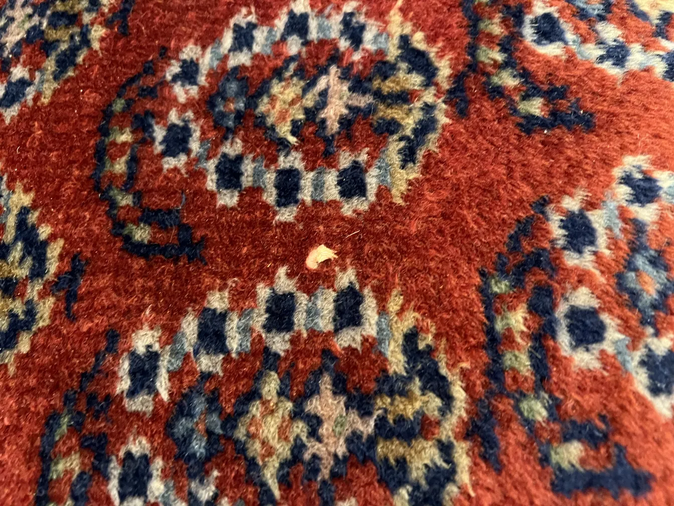 古老的地毯，红色和蓝色的图案，米色细节。