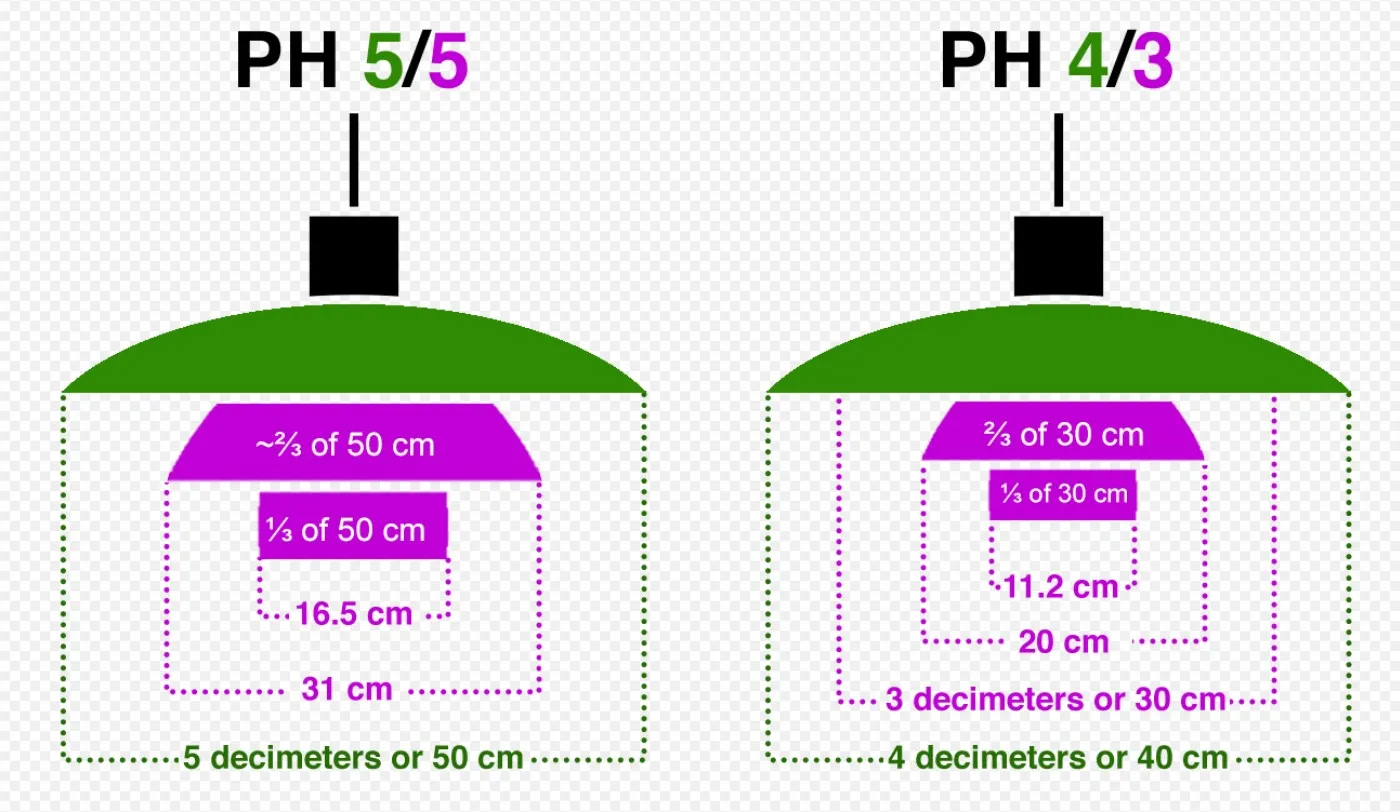 two antique hanging lamps with distinctive green and black design, elegant setting