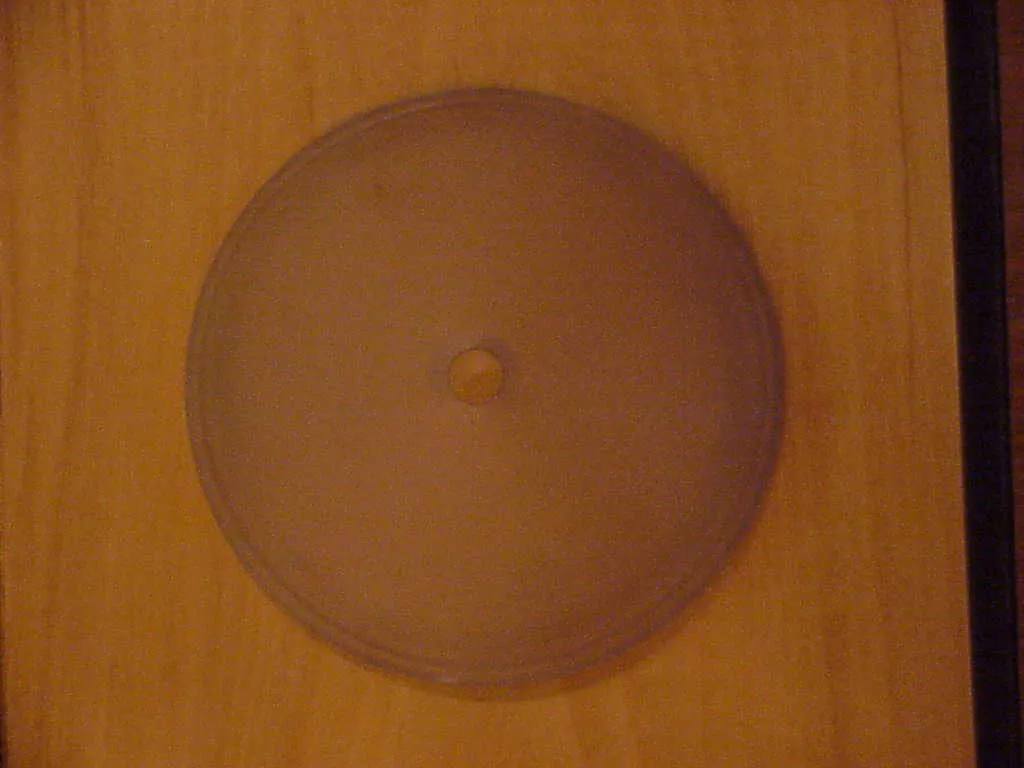 2 lustres anciens avec design circulaire, ambiance chaleureuse