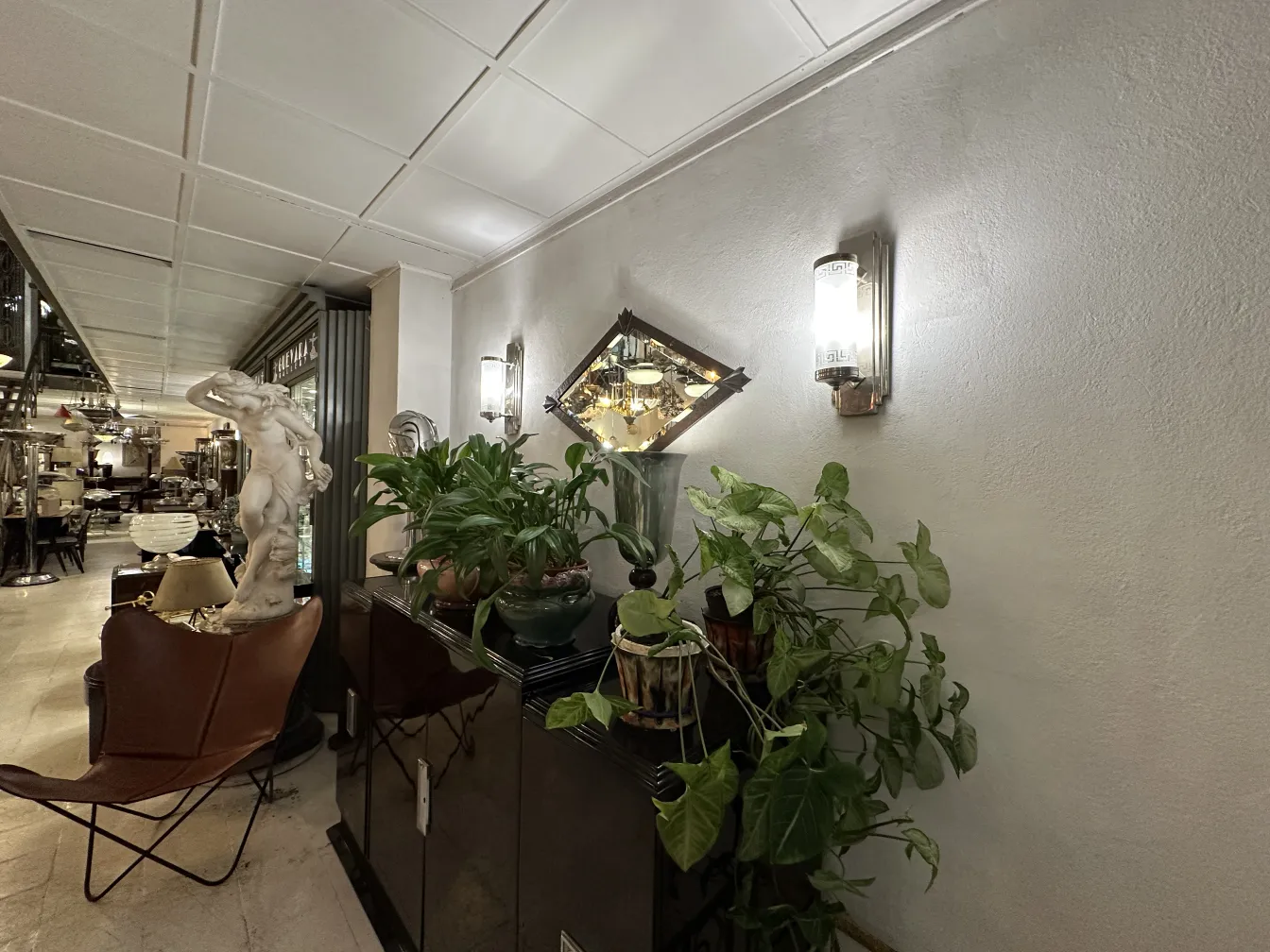 antique mirror on a decorative wall with plants