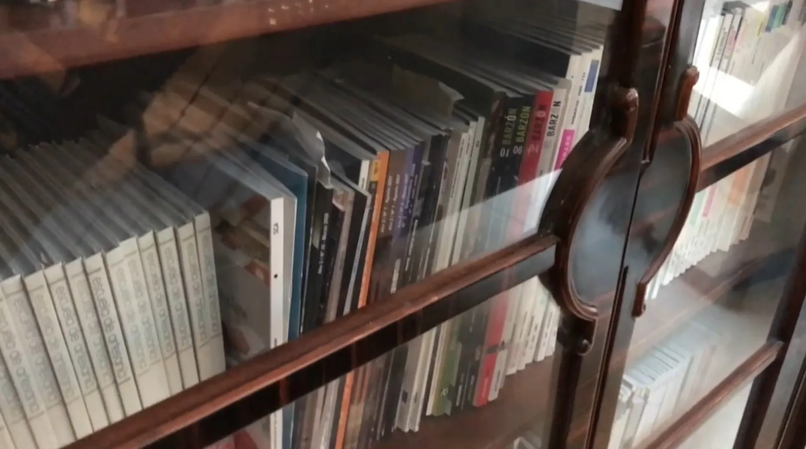 libreria antica con libri organizzati, ambiente caldo