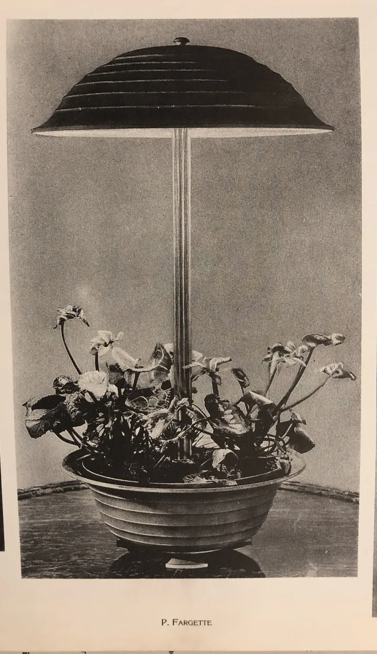 lampara de mesa antigua con diseño moderno, plantas en el fondo