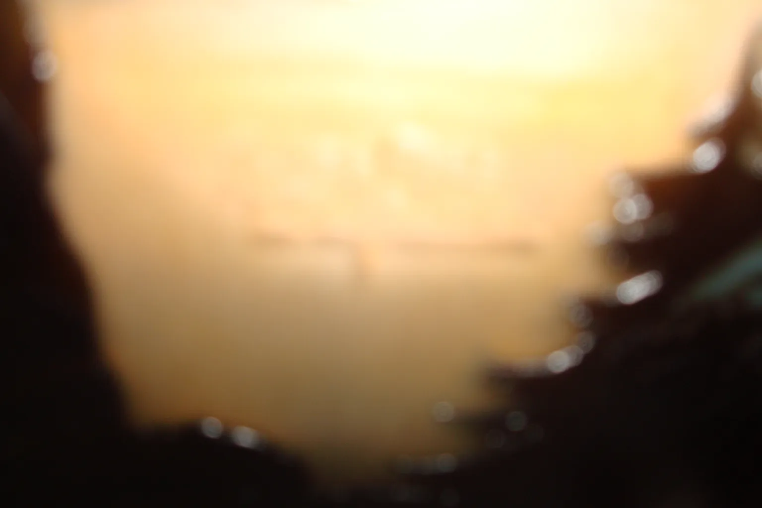 Antique glass with signature of Muller Fres, in a hazy setting.