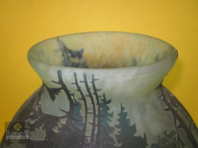 Blick auf ein antikes signiertes Glas von Muller Fres mit natürlichem Design