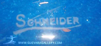 verre ancien avec la signature Schneider au style français