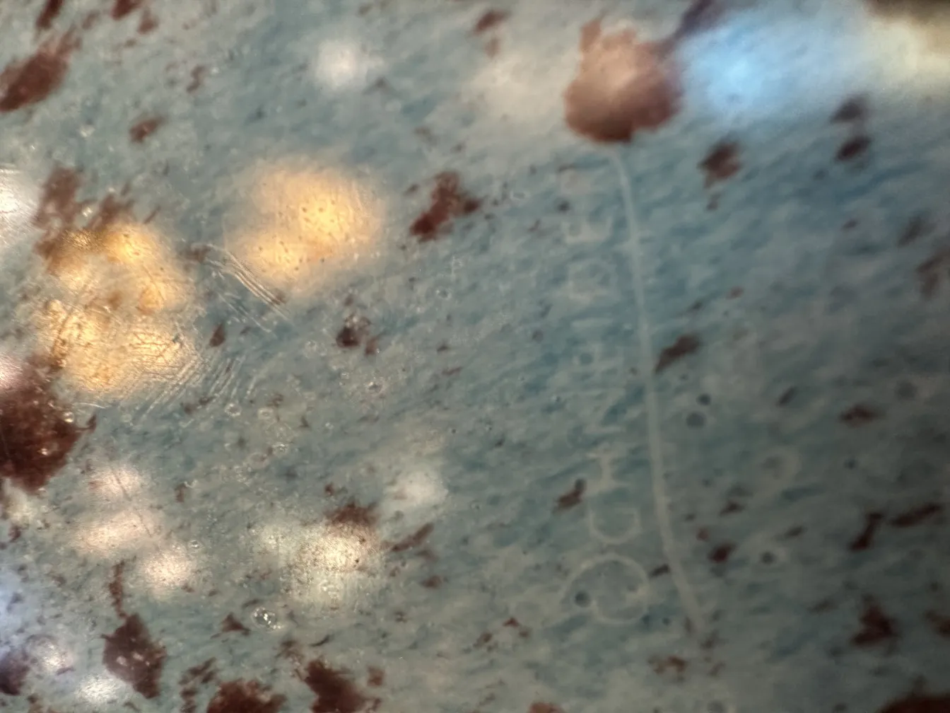 古董签名玻璃（Schneider）有装饰细节