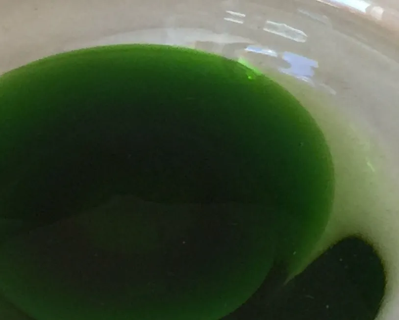 古老的穆拉诺玻璃的绿色细节