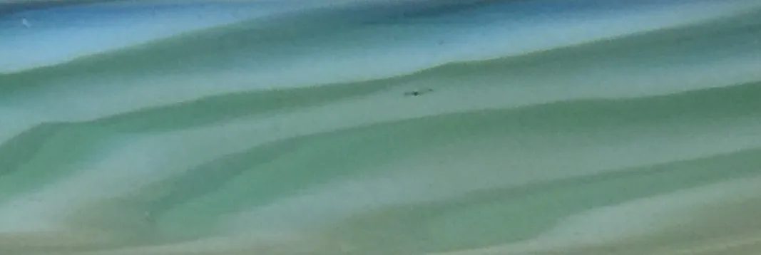 부드러운 색조의 아름다운 무라노 유리, 향수를 불러일으키는 분위기.