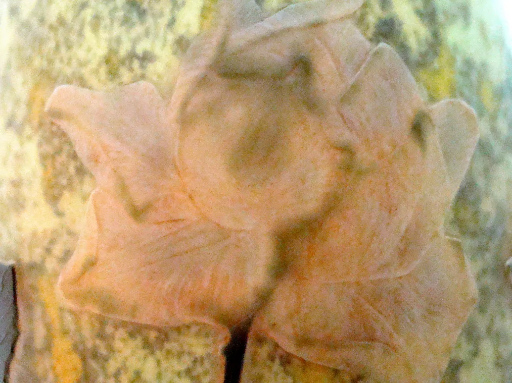 подписанное стекло даум нэнси с цветочным дизайном и мягкой атмосферой