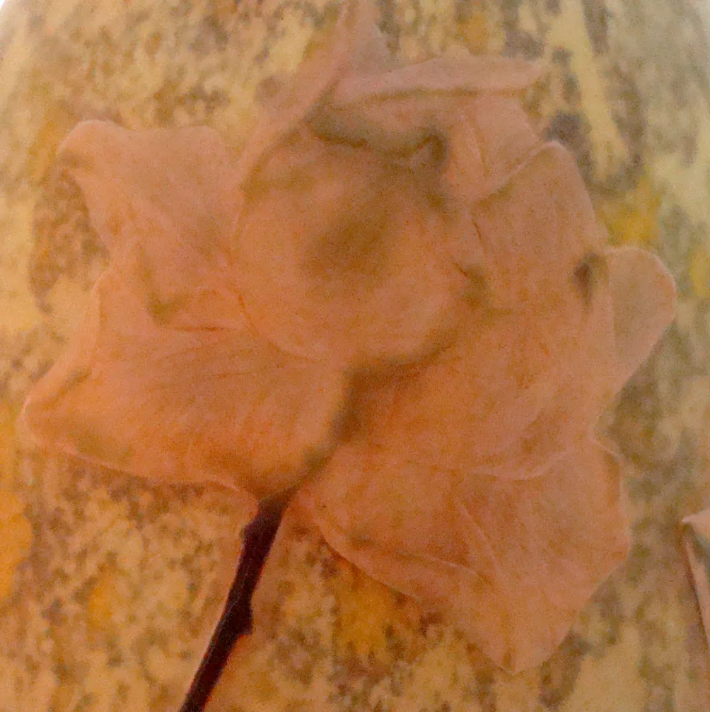 Signed glass Daum Nancy featuring a soft colored flower design.