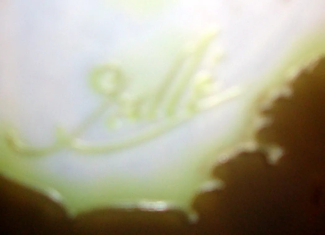 Glass signed Gallé with a distinctive design and visible signature