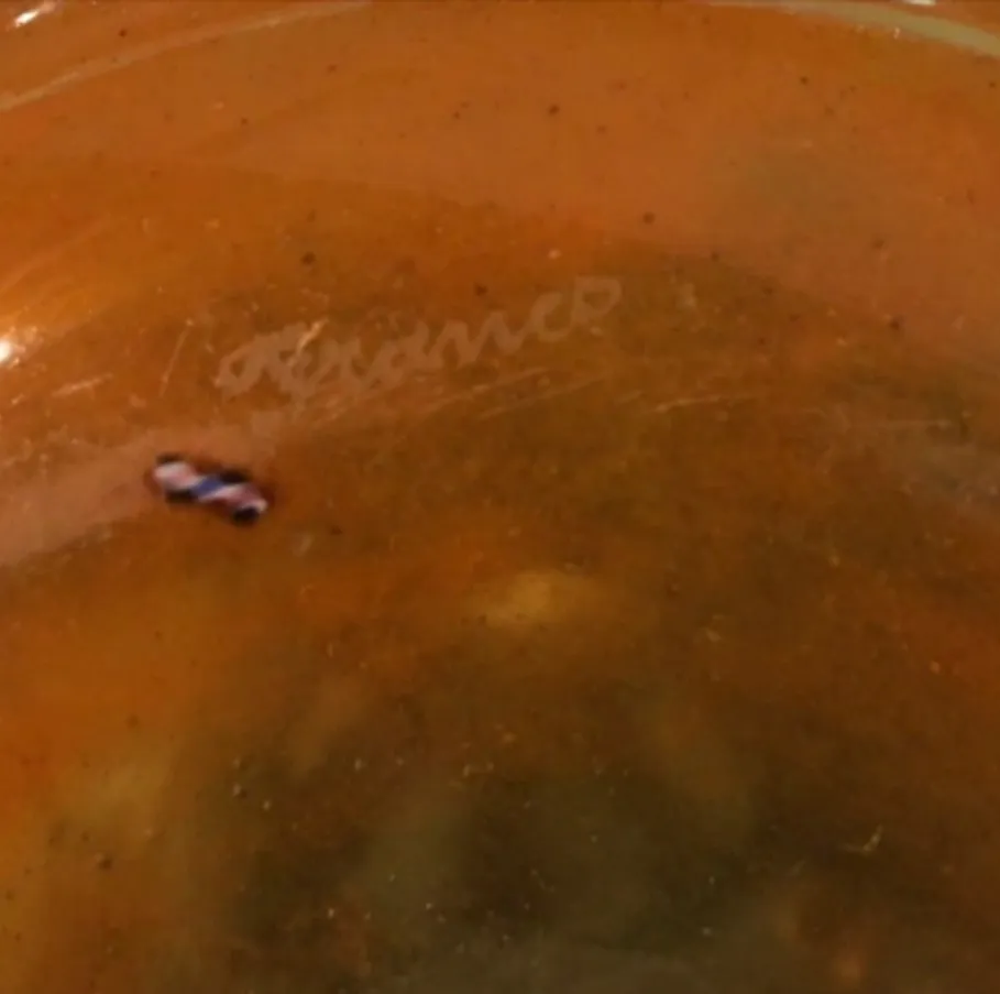 带有古老铭文和多彩设计的玻璃在盘子上