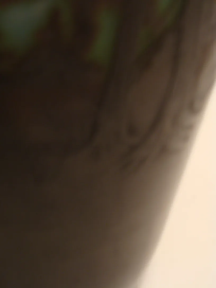 簽名玻璃D'Argental，特徵為古董背景中的黑色和綠色細節。