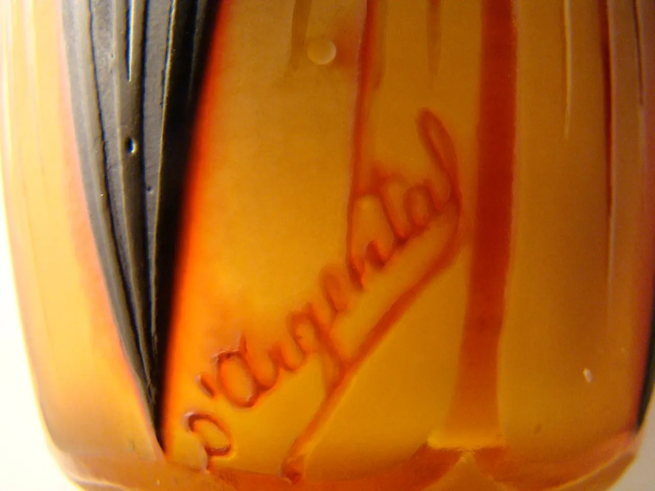 特徴的なデザインのエレガントなD'Argentalサイン付きグラス