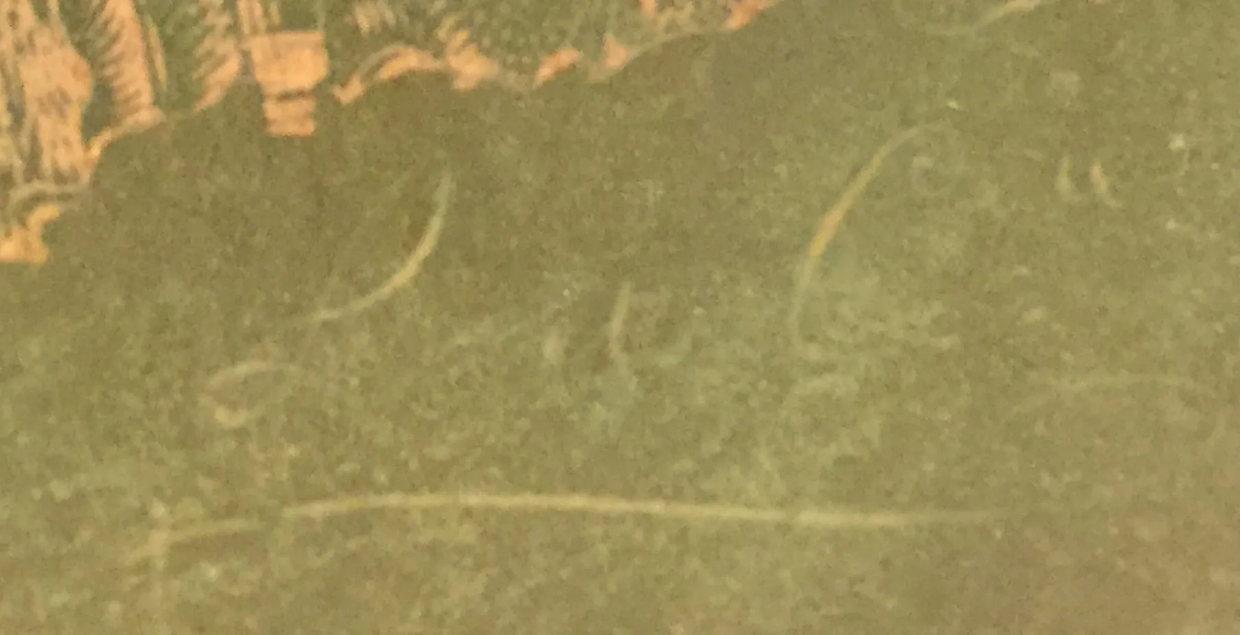 glass signed LEGRAS with artistic details inside