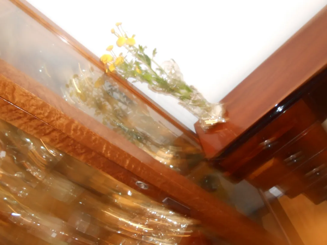 Due vasi antichi art nouveau con fiori gialli in un ambiente accogliente.