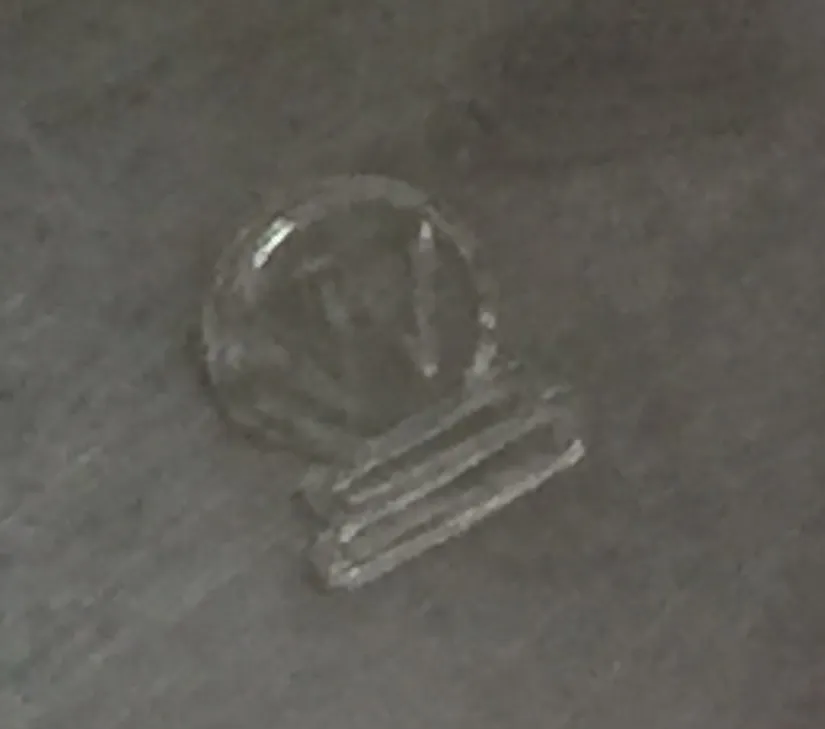 اثنان من مبردات الشمبانيا القديمة wmf على خلفية داكنة