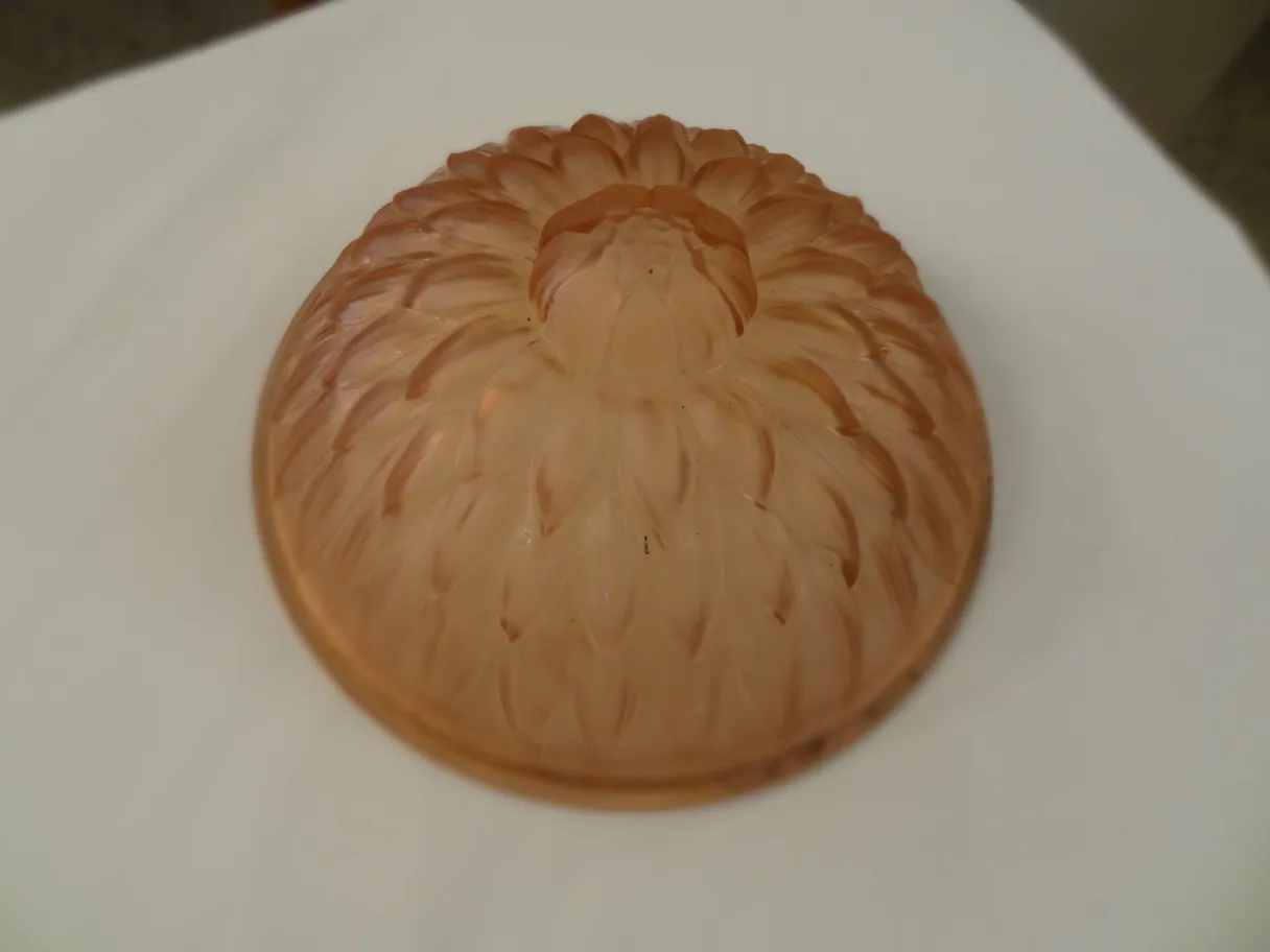 Plafón antiguo decorativo con diseño floral elegante