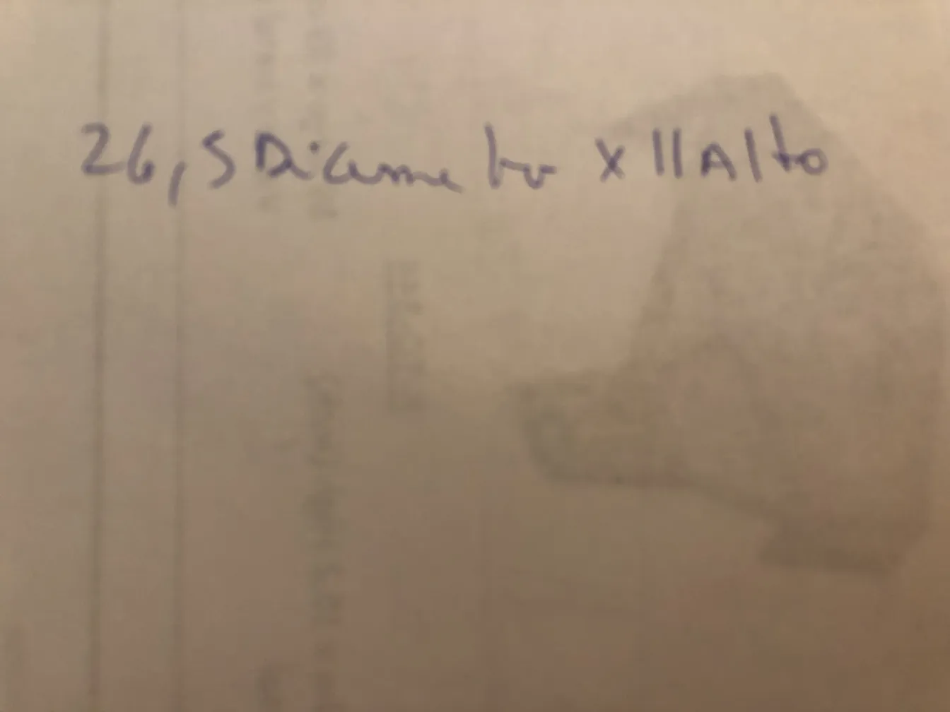 Antiker Kuchenteller mit einzigartigen Merkmalen, umgeben von nostalgischer Atmosphäre.