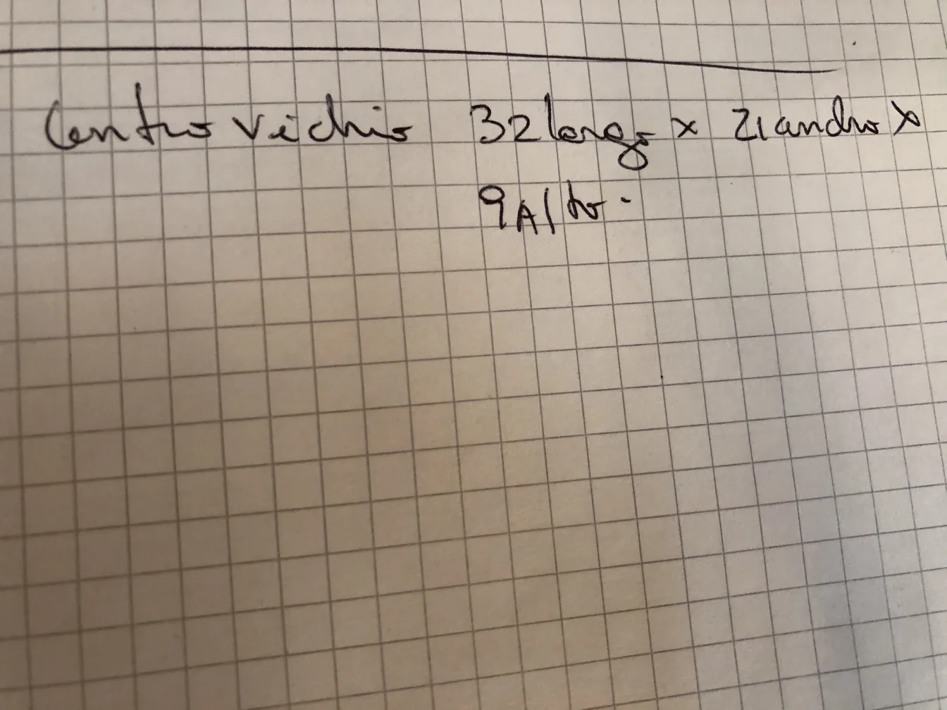 centrotavola antico con misure scritte su carta a quadretti