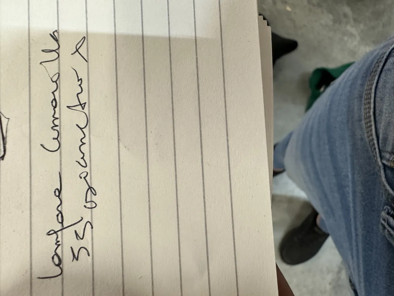 due lampade da terra antiche in un ambiente accogliente