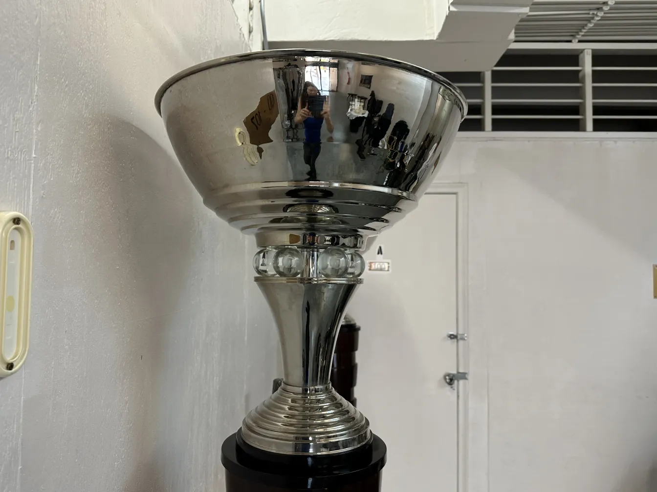 due lampade da terra antiche con design elegante