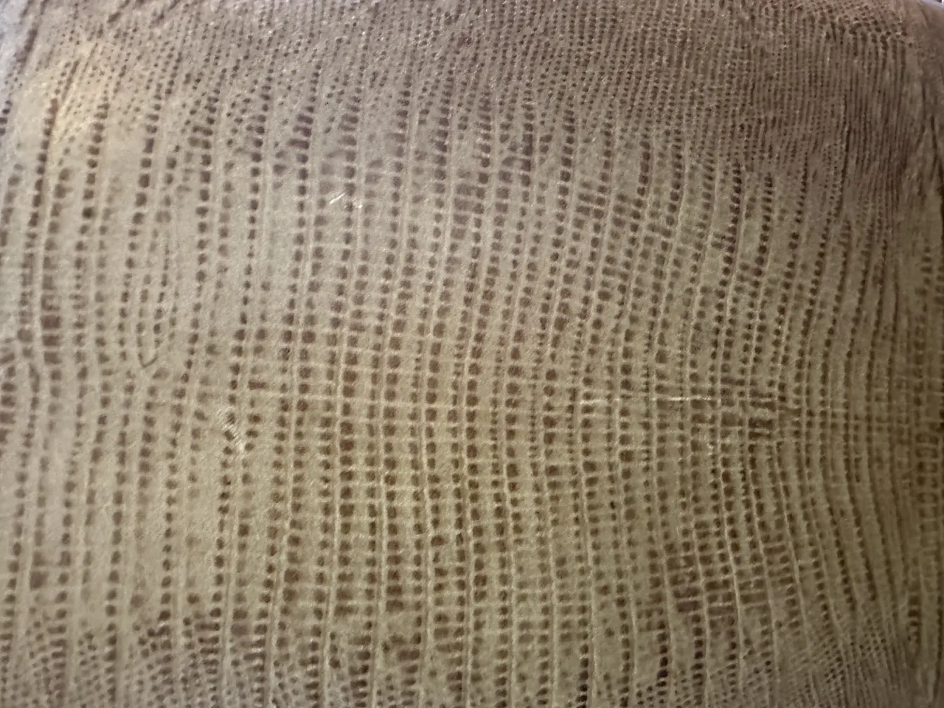 독특한 디자인을 가진 고대 의자 12개, 간단한 환경에서