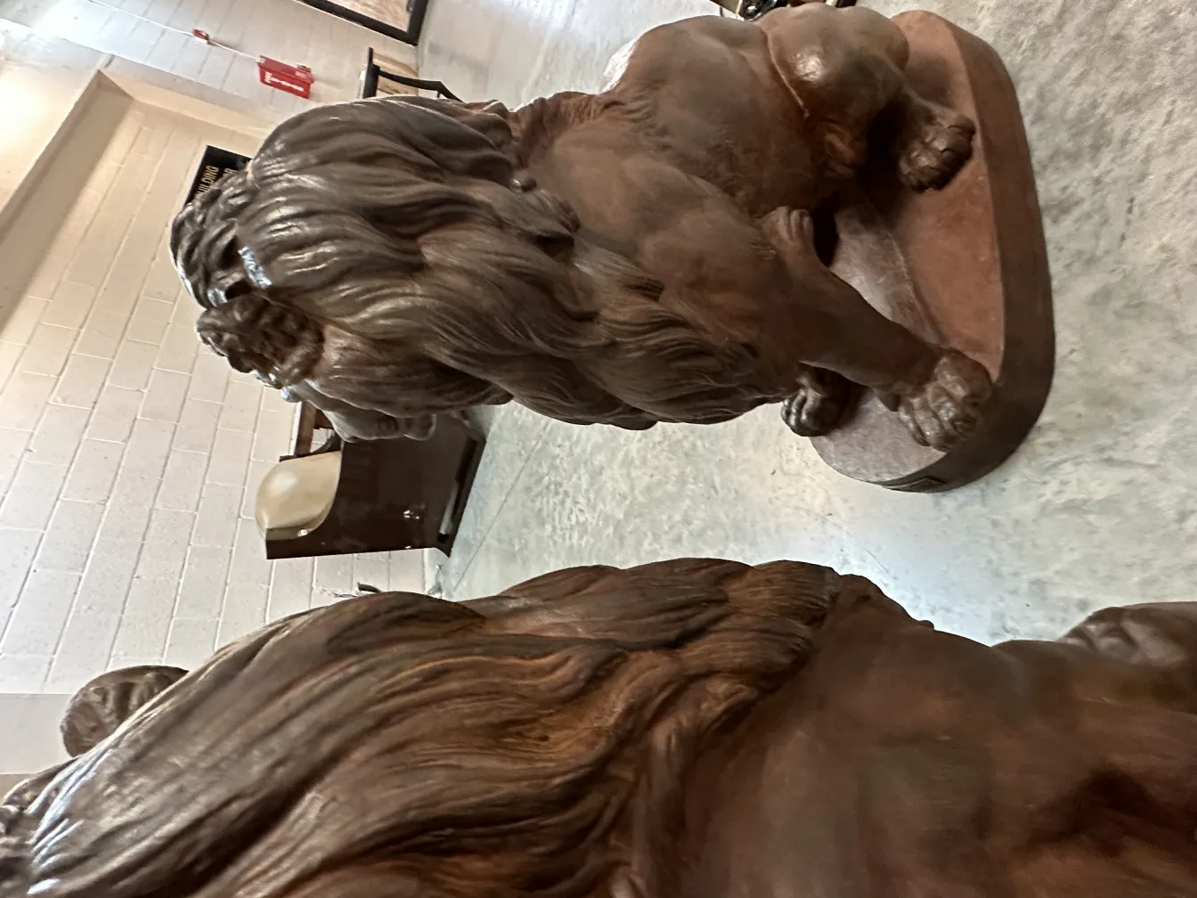 sculture antiche di due leoni, con dettagli intricati