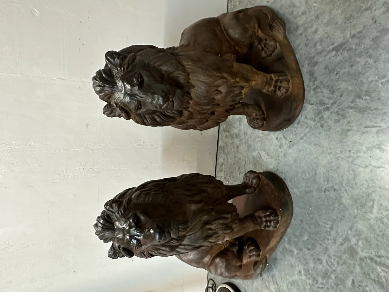 deux lions anciens, têtes détaillées, fond neutre