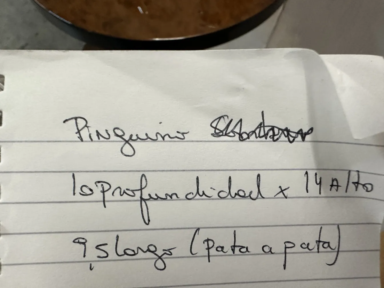 Sculpture ancienne de 2 pingouins, détails visuels clairs