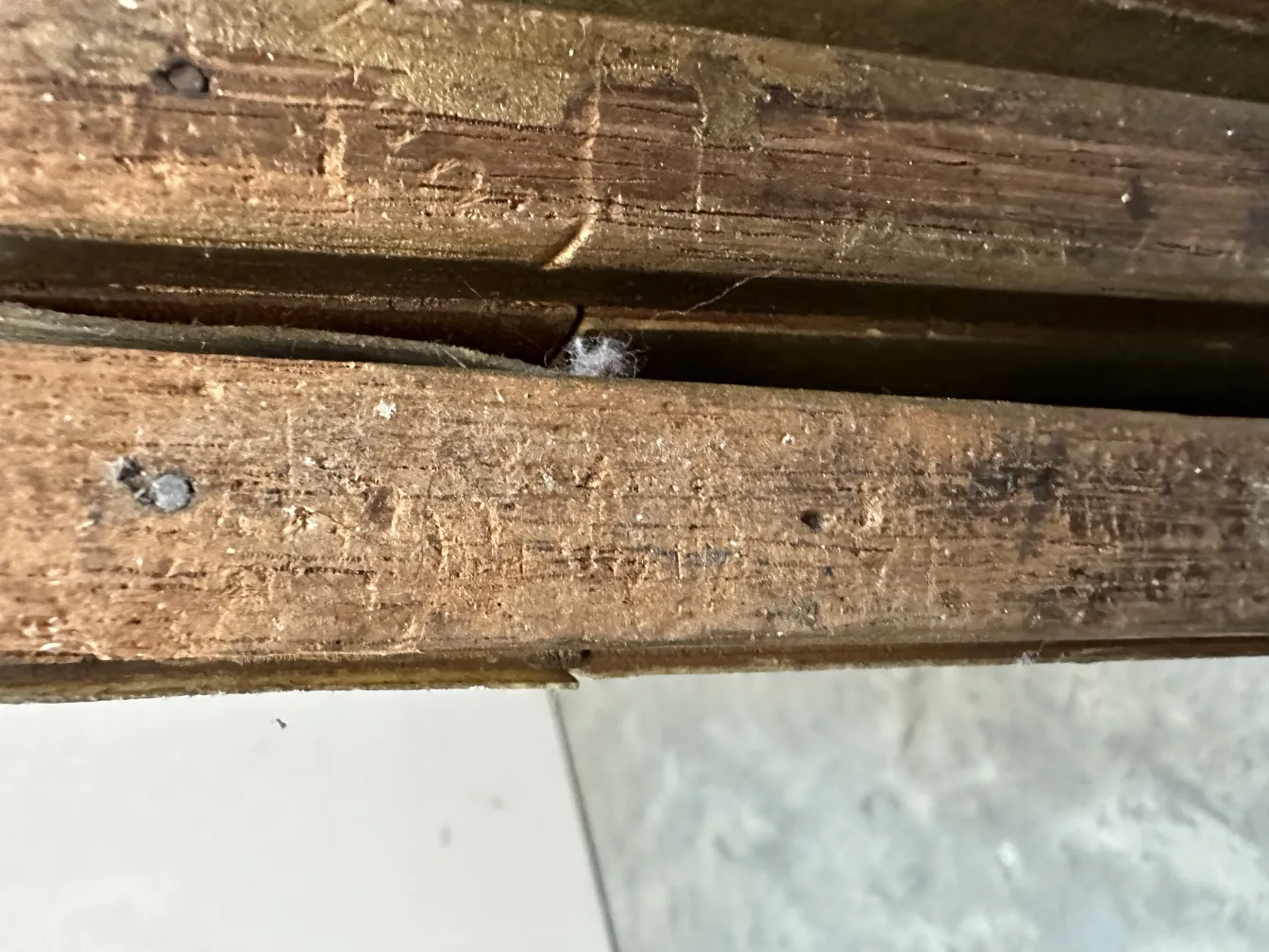 古董屏风 adolphe chanaux 的细节在一个环境中