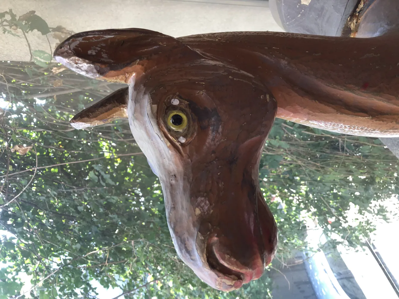 Cabeça de lhama antiga com detalhes artísticos