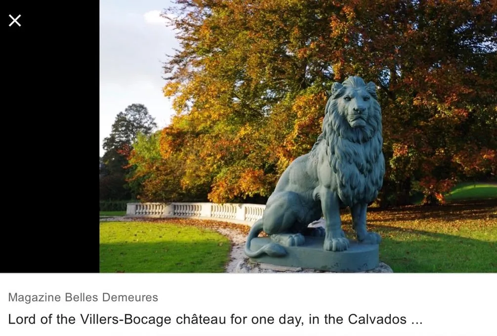 sculpture de deux lions dans un cadre de jardin