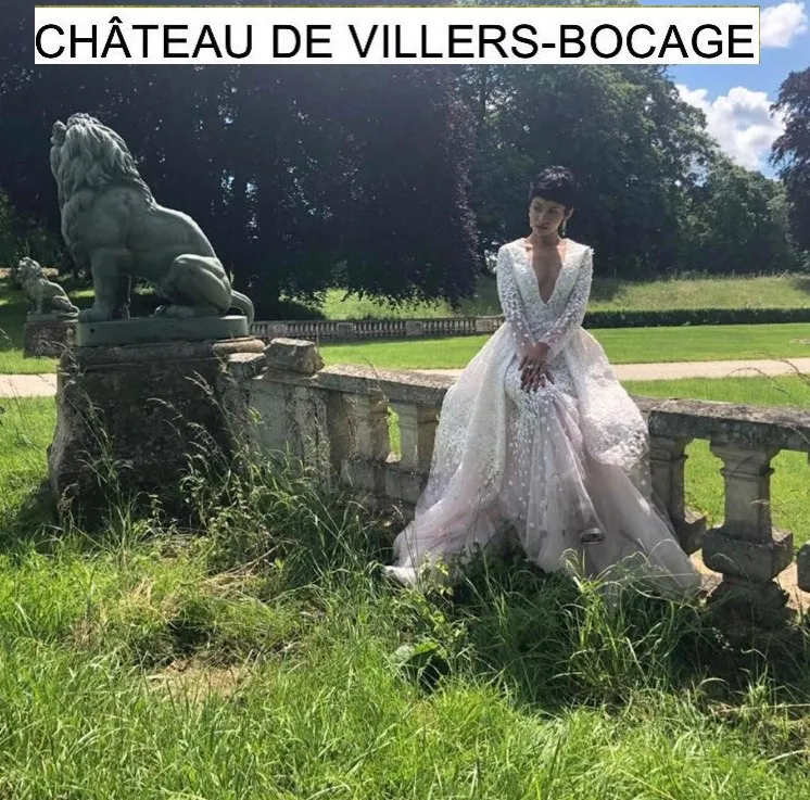 تحفة قديمة تمثل ٢ أسود A. Durenne في بيئة طبيعية