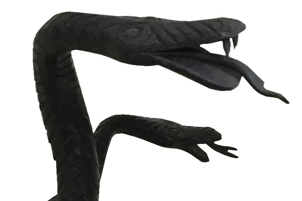 plateaux de carte ancien présentant un design de serpent unique, parfait pour la décoration