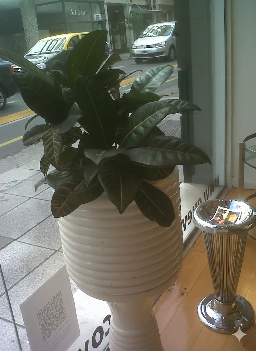 古い植木鉢と窓際の緑の植物