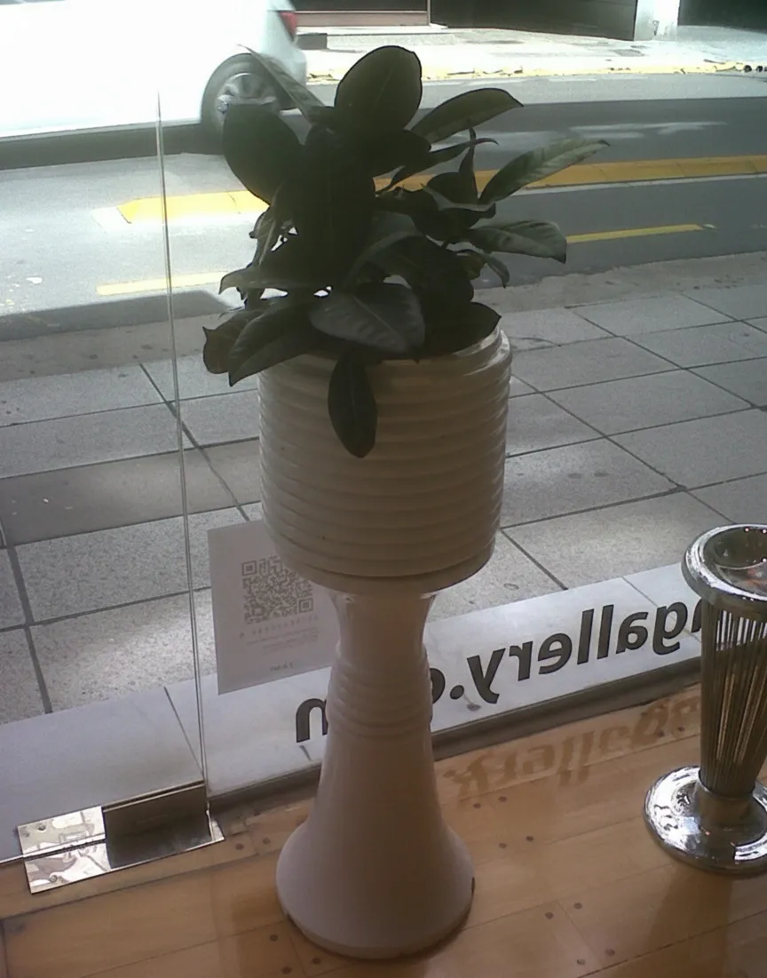 vaso di fiori antico con pianta verde in un ambiente moderno