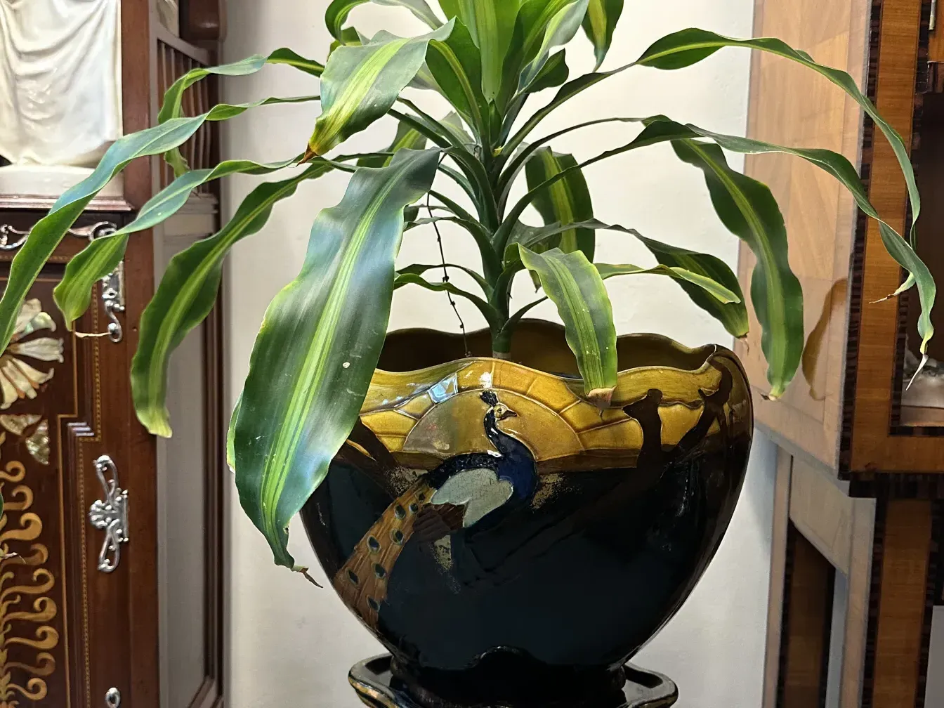 古董花盆，带有装饰性设计和绿色植物