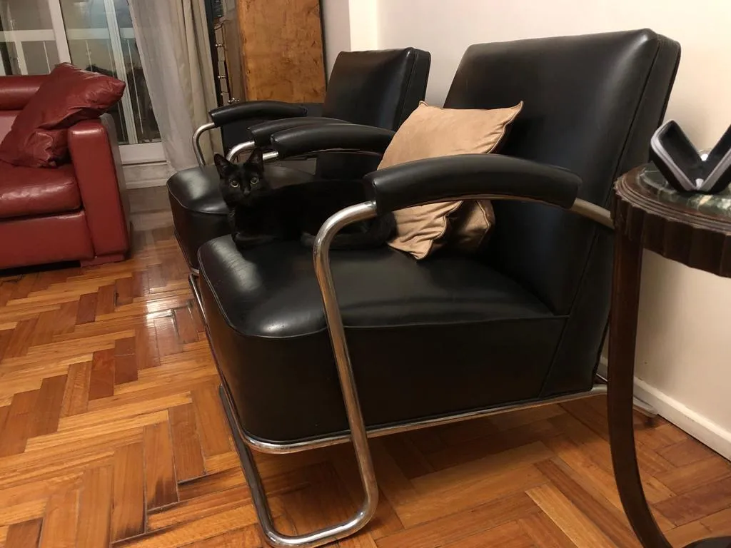 duas poltronas antigas art deco com gato preto na sala